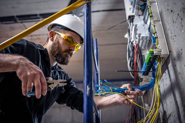 Best Affordable Electrician  in Warren, MN